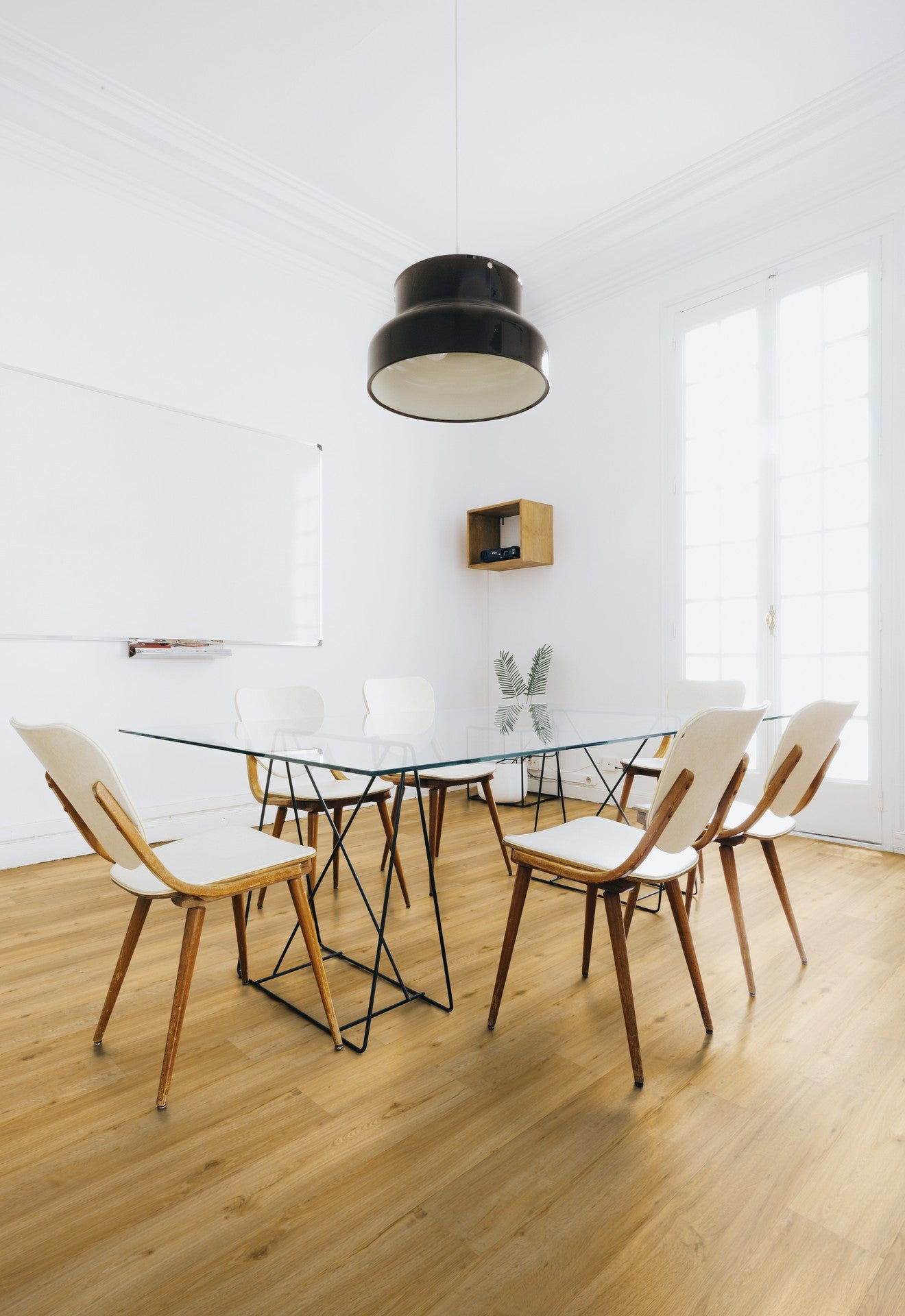 Vinylboden Eiche Conny – Elegantes HDF-Klick-Vinyl mit integrierter Korkdämmung (8,6 mm)