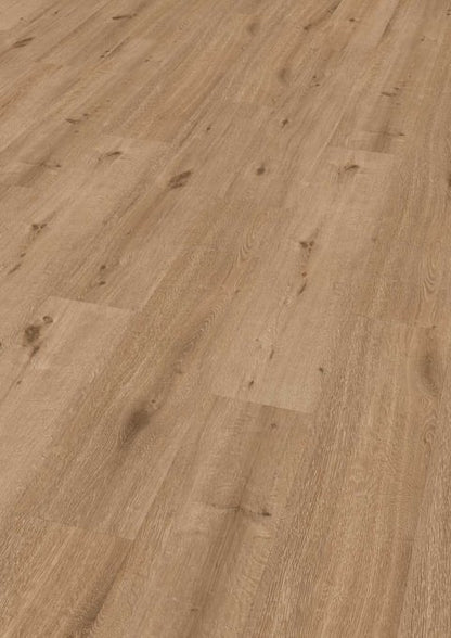 ter Hürne Klick-Vinyl Eiche Thomas XL-Landhausdiele, 8,6 mm HDF-Kern mit integrierter Kork-Trittschalldämmung, rustikale Holzoptik.